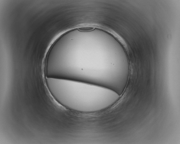 X0000113371102200909151022