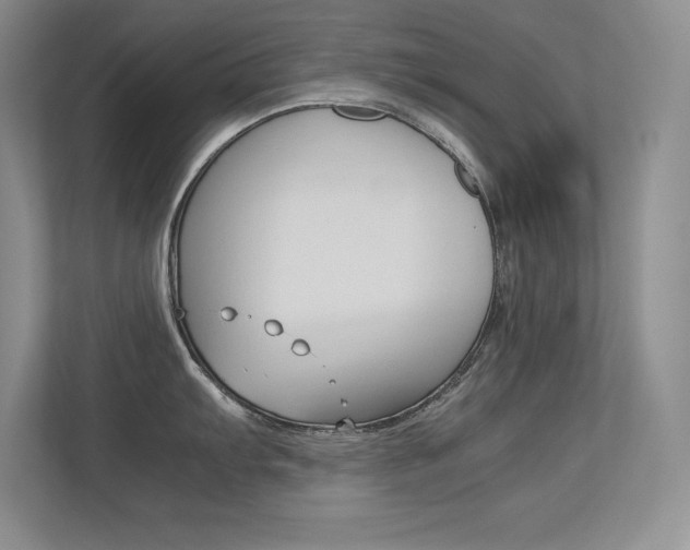 X0000113371103200909151022