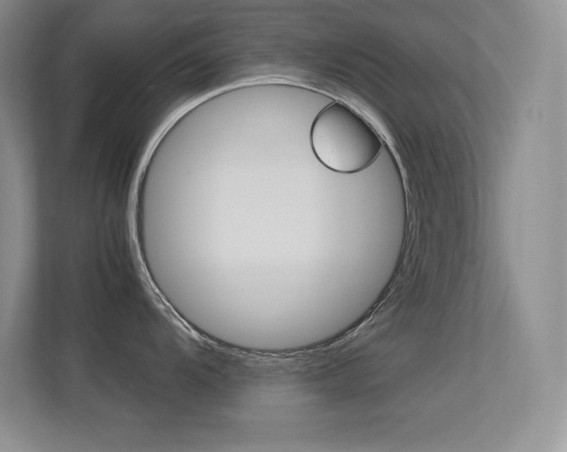 X0000113371104200909151022