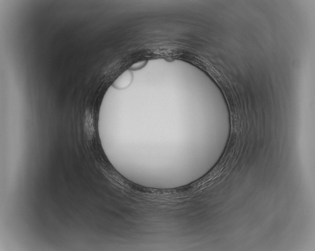 X0000113371106200909151021