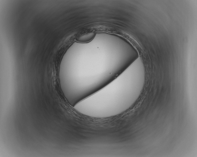 X0000113371111200909151021