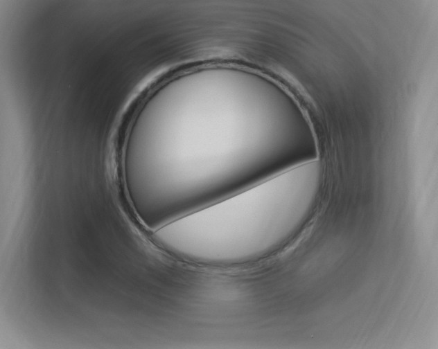 X0000113371118200909151021