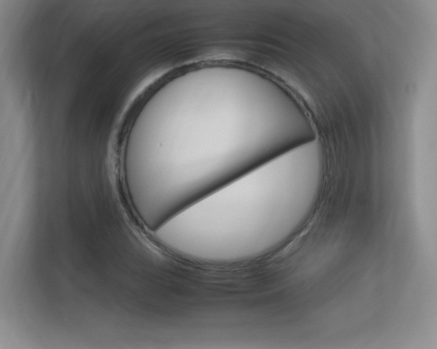 X0000113371119200909151021