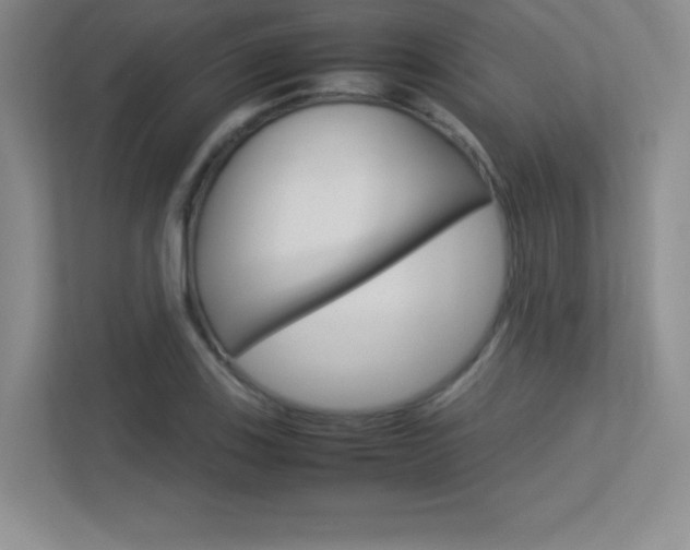 X0000113371123200909151021