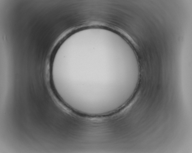 X0000113371126200909151021