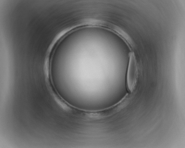 X0000113371128200909151021
