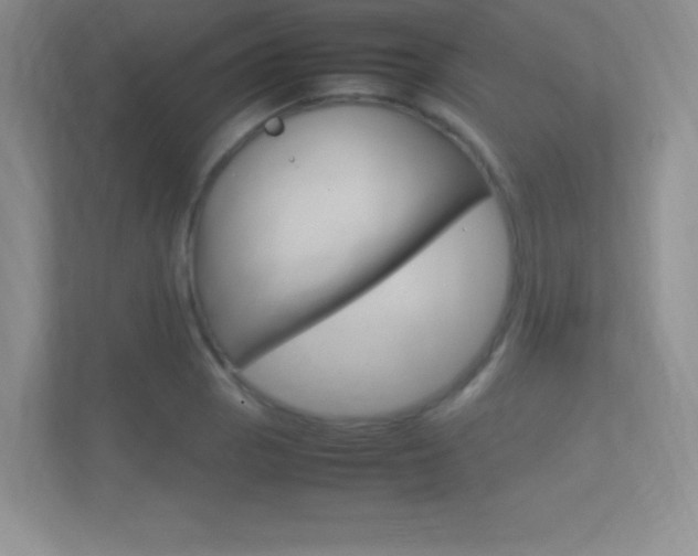 X0000113371129200909151021