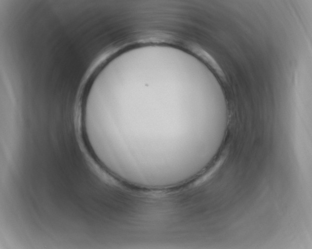 X0000113371130200909151021