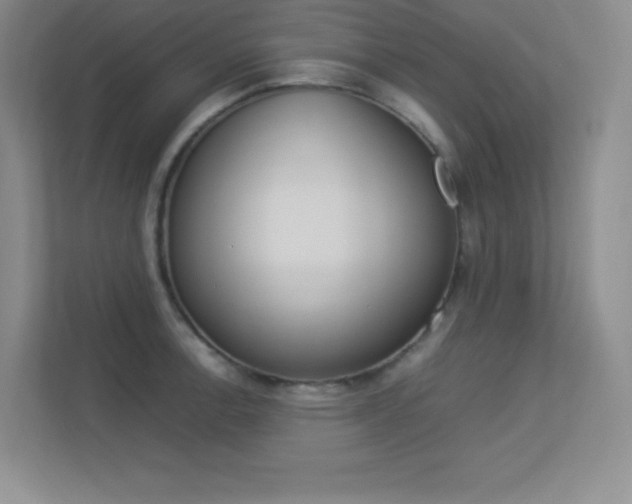 X0000113371138200909151021