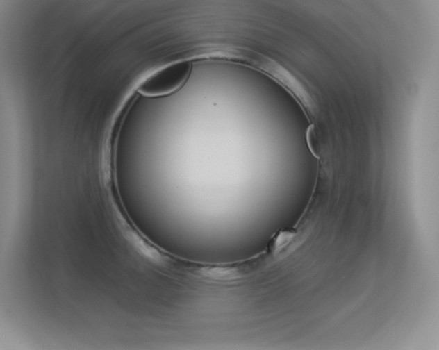 X0000113371140200909151021