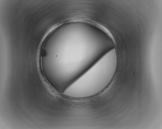 X0000113371146200909151022