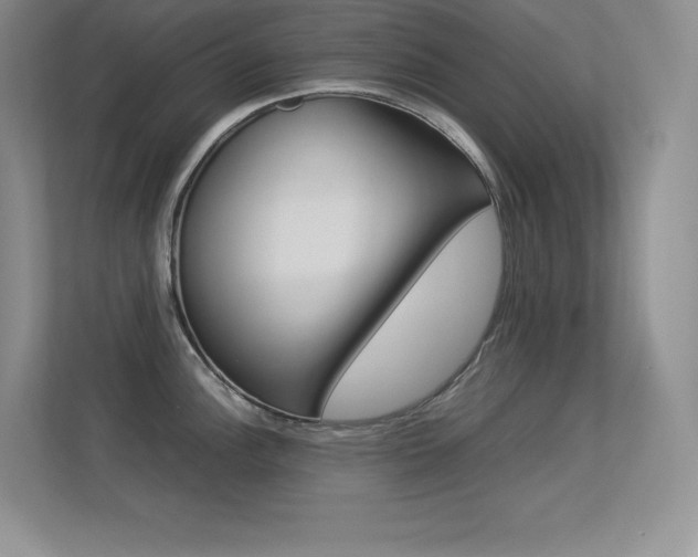 X0000113371148200909151022