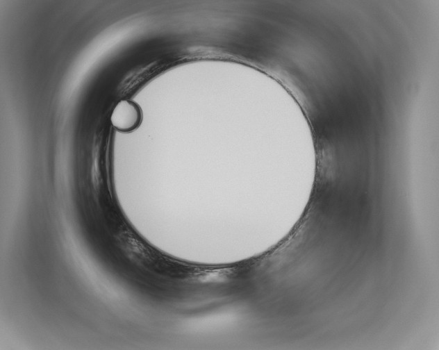 X0000113371150200909151022
