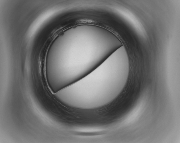 X0000113371151200909151022