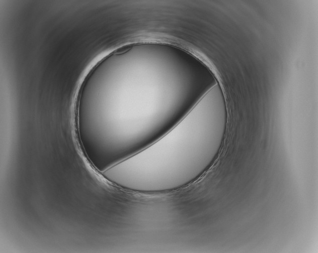 X0000113371152200909151022