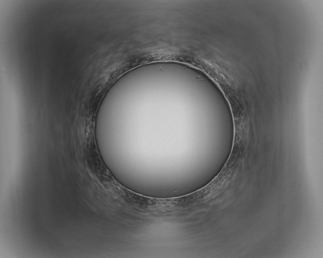 X0000113371157200909151021