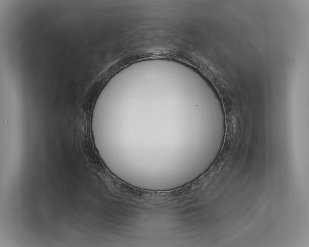 X0000113371158200909151021
