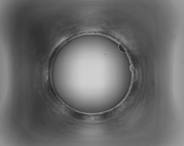 X0000113371165200909151021