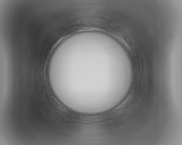 X0000113371173200909151021