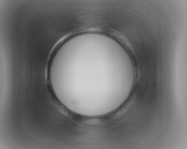 X0000113371174200909151021