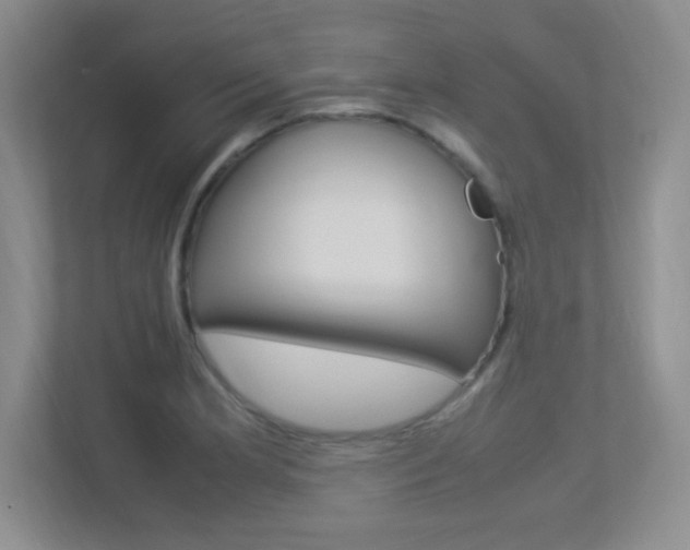 X0000113371181200909151021