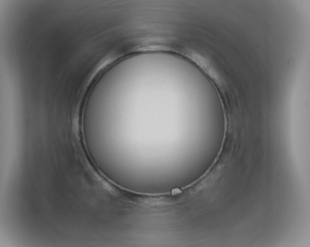 X0000113371189200909151021
