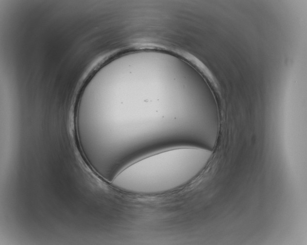 X0000113371191200909151021