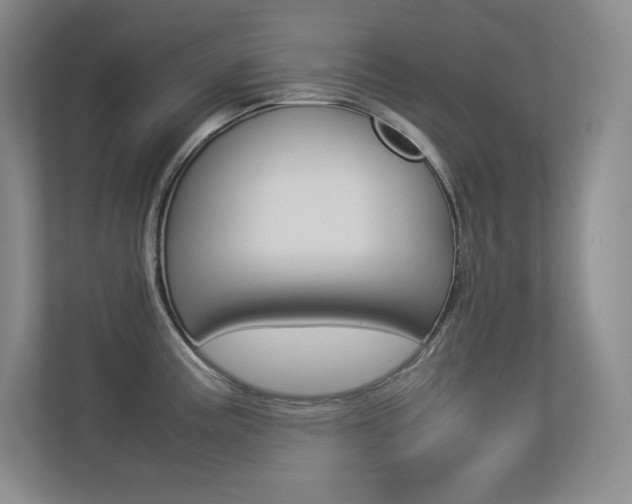 X0000113371195200909151020