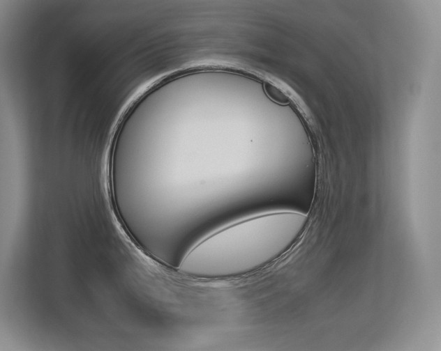 X0000113371199200909151020