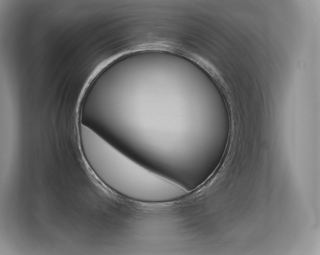 X0000113371200200909151020