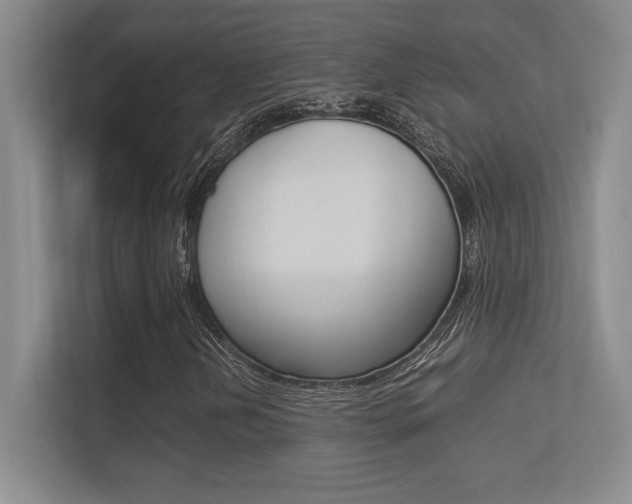X0000113371202200909151020