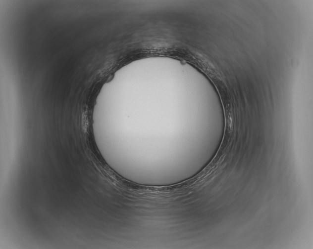X0000113371204200909151020