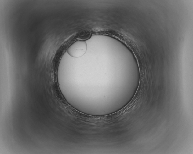 X0000113371205200909151020