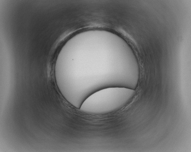 X0000113371215200909151020