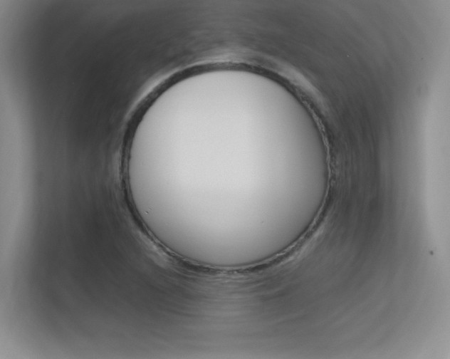 X0000113371216200909151020