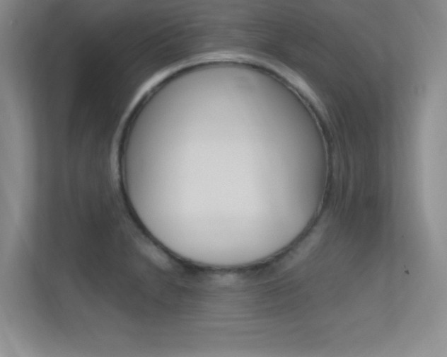 X0000113371230200909151020