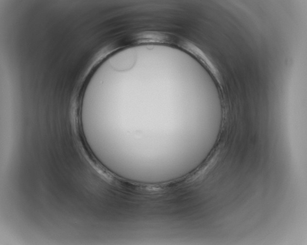 X0000113371235200909151020