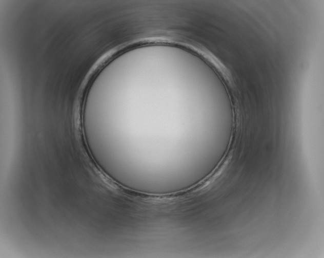 X0000113371240200909151020