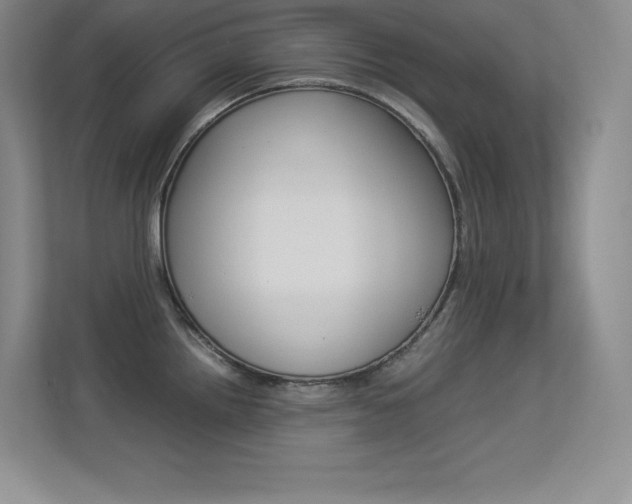 X0000113371242200909151020