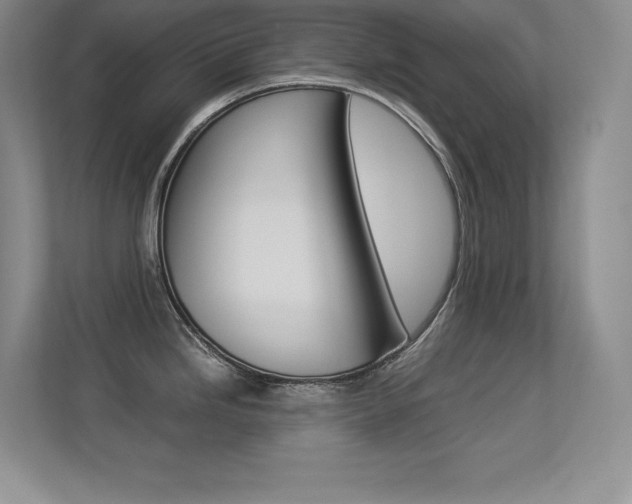 X0000113371246200909151020