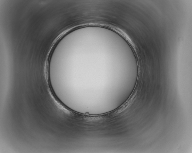 X0000113371247200909151020