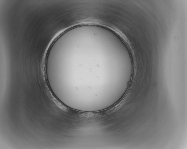 X0000113371248200909151020