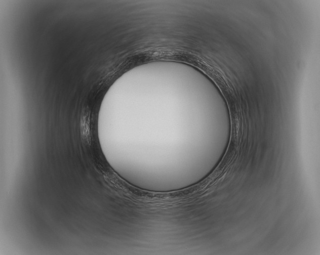 X0000113371250200909151020