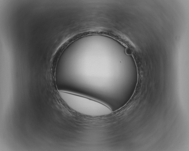 X0000113371256200909151020