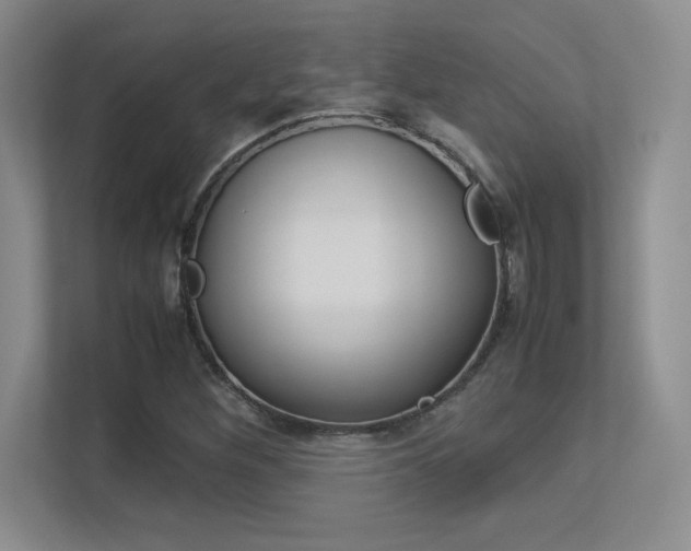 X0000113371260200909151020