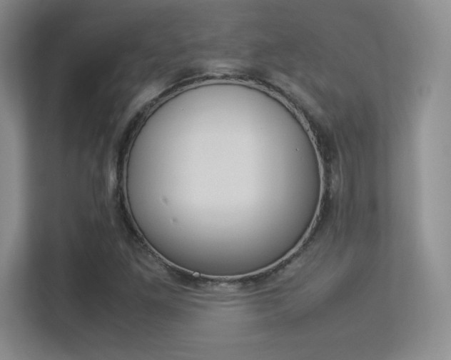 X0000113371261200909151020