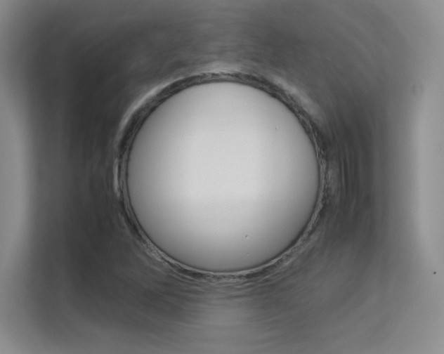 X0000113371262200909151020