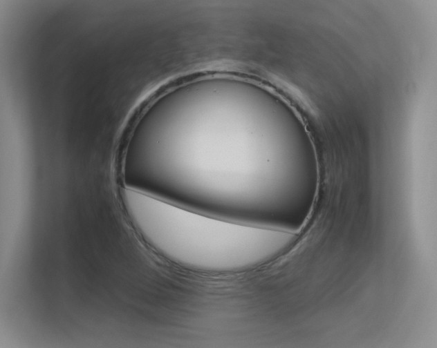 X0000113371264200909151020