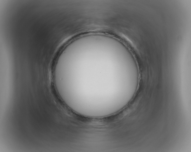 X0000113371267200909151020