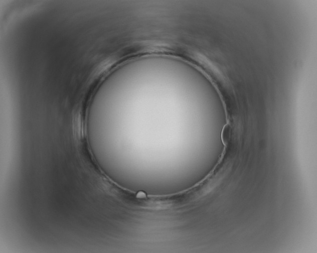 X0000113371269200909151020